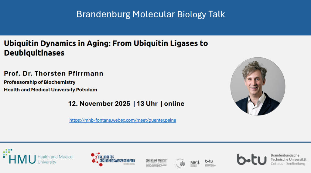 Banner Einladung BMB Talk