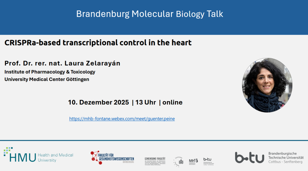 Banner Einladung BMB Talk